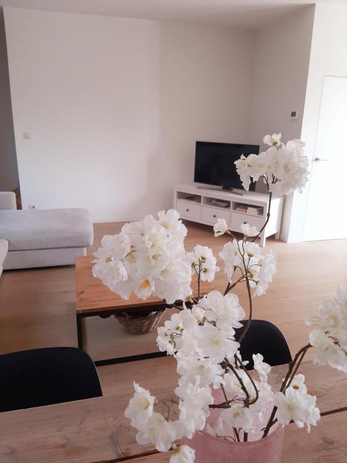 Luxe Duplex Appartement Mavi Gistel Esterno foto